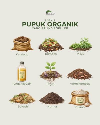 Pupuk Organik